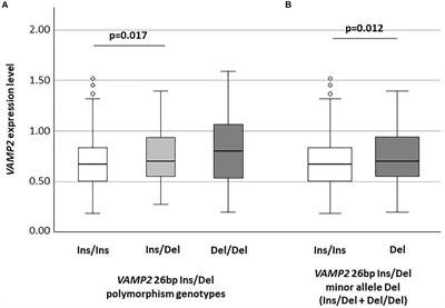 VAMP2 Expression and Genotype Are Possible Discriminators in Different Forms of Dementia